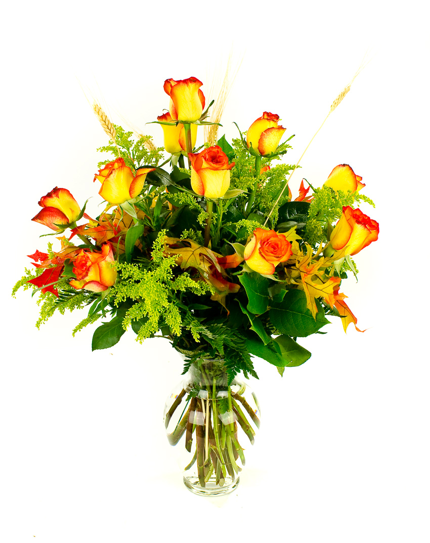 <b>Notice</b>: Undefined index: name in <b>/home/stranges/public_html/shop/vqmod/vqcache/vq2-catalog_view_theme_default_template_product_search.tpl</b> on line <b>386</b>